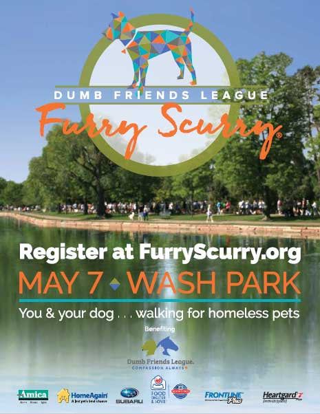 Furry Scurry